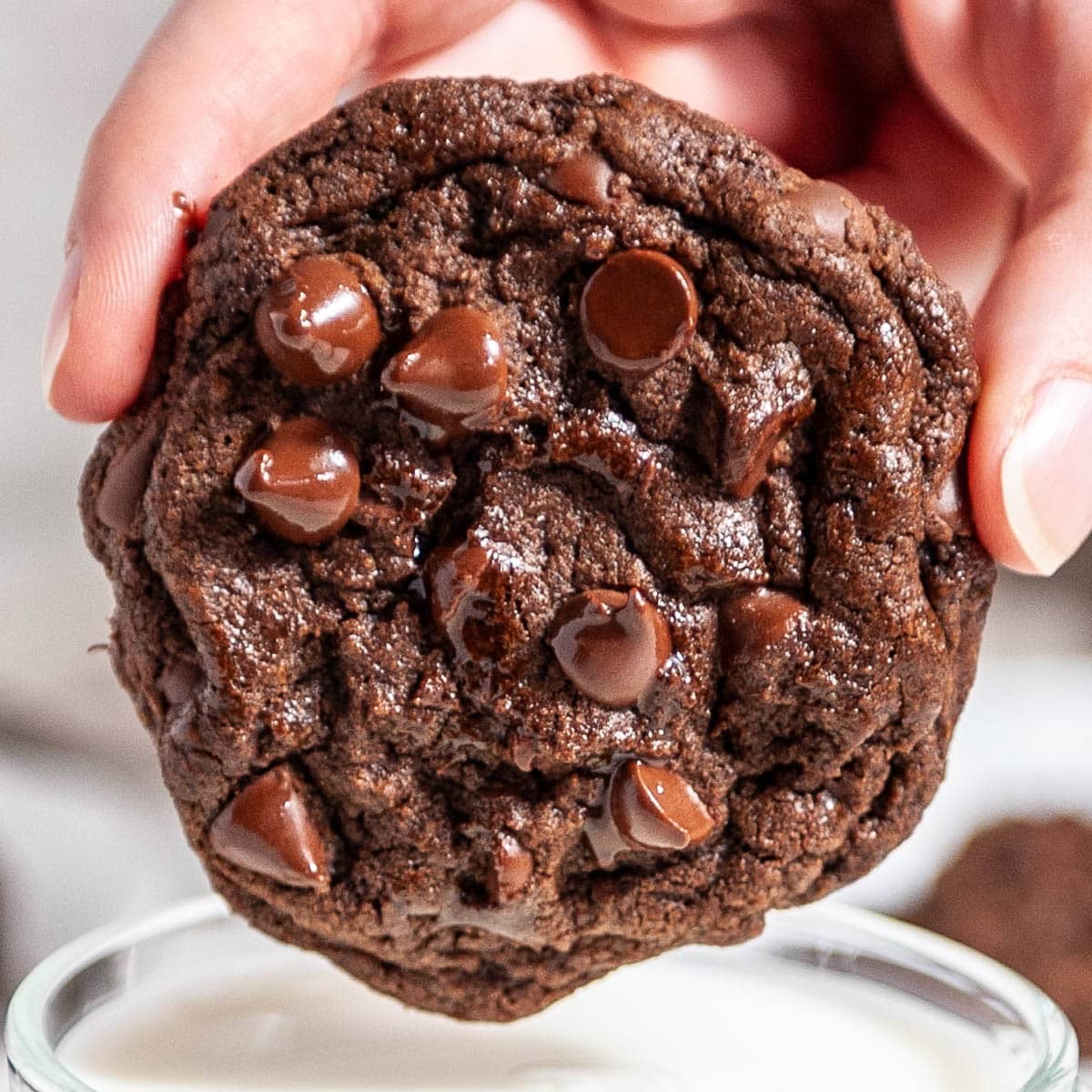 Example of the double chocolate chip cookie.